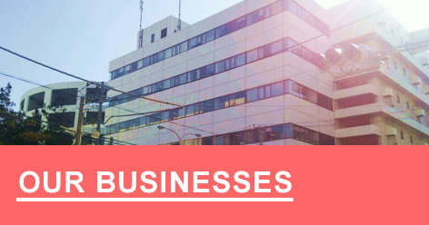 OUR BUSINESSES